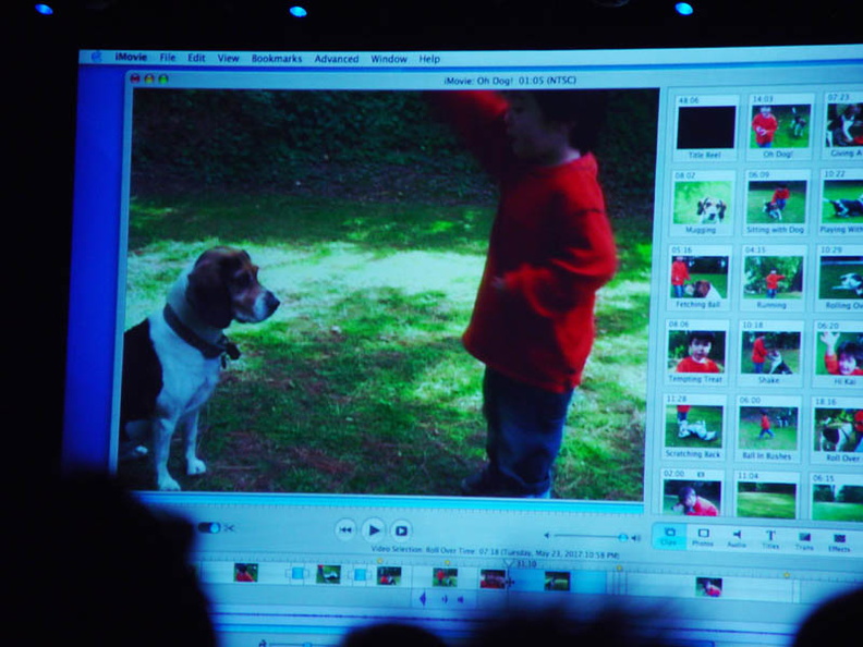 Rabid dogs and their effects on children - my first iMovie. DSC02022.jpg
