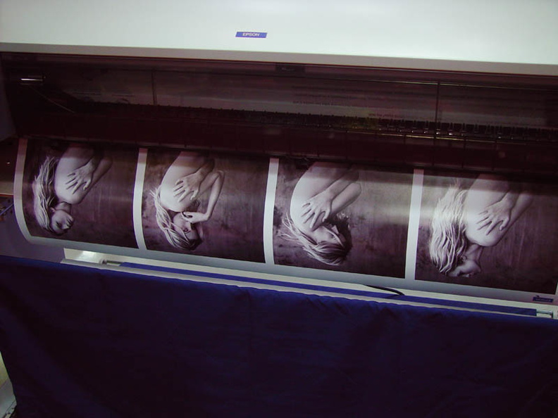 These were printing out on the huge Epson printers in their booth. And, much like last year, I took a print or two home. :) DSC02062.jpg