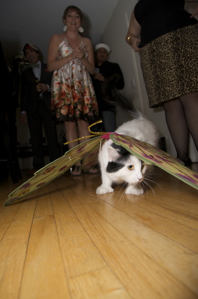 This is Jackie wearing glitter wings. halloween0913.jpg