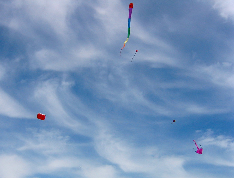 Seconds before this picture was taken, all the kites were huddled together, whispering. I'm onto you kites. aae.jpg