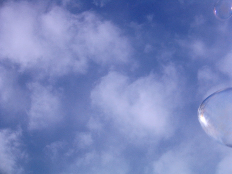 A woman nearby was saturating the area with ginormous bubbles. I barely escaped her barrage. aai.jpg