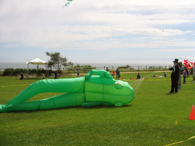 You know what they say: you can lead a frog to a kite festival, but you can't make him fly. aan.jpg