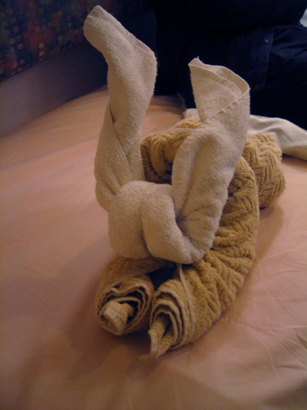 Yes, that's exactly what you think it is: the arse-faced cotton rabbit of Argentina. 57_G.jpg