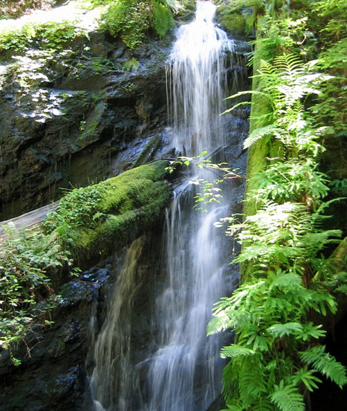Moss never looked so lickable. 44_G.jpg