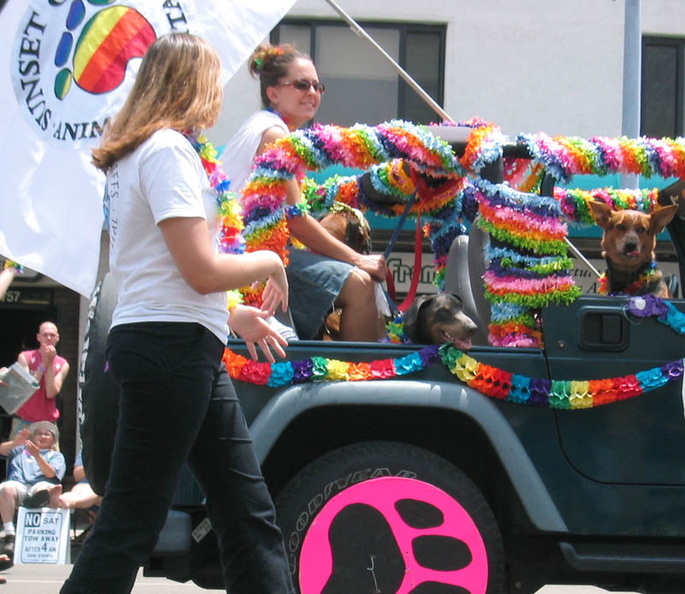 Gay pets: because they shouldn't be ashamed to lick their partners in public like other dogs do. aby.jpg